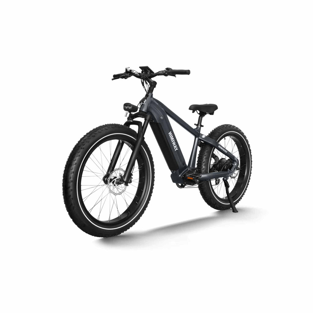 Himiway Zebra D5 2025 E-Bike - Fatbike Electric Bike with Long Range and Powerful Motor